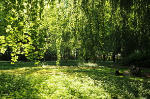 Park Langen - Stadt Geestland Park Langen