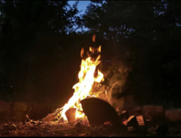 Abschalten und Austauschen - Freiräume Cuxhaven Abschalten und Austauschen