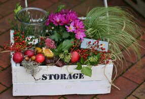Sieverner Herbstmarkt, Dorpleven Sievern e - Dorpleven Sievern e.V. Sieverner Herbstmarkt, Dorpleven Sievern e