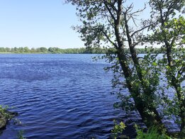 Dahlemer & Halemer See, Christiane Borchers - Christiane Borchers Dahlemer & Halemer See, Christiane Borchers